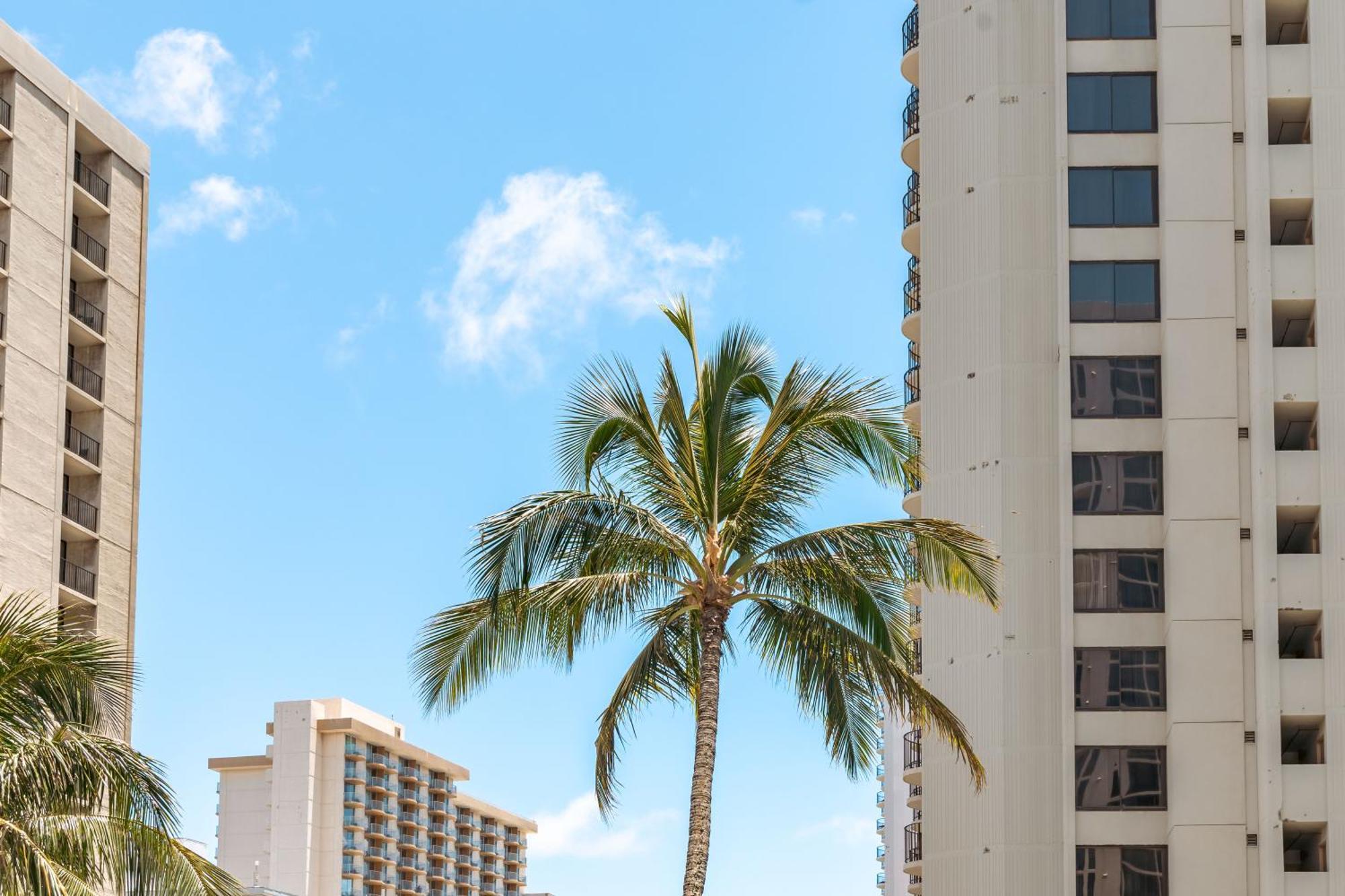 Waikiki Escapade Mountain Views Condo, Steps To Beach With Parking Perk Honolulu Exteriör bild