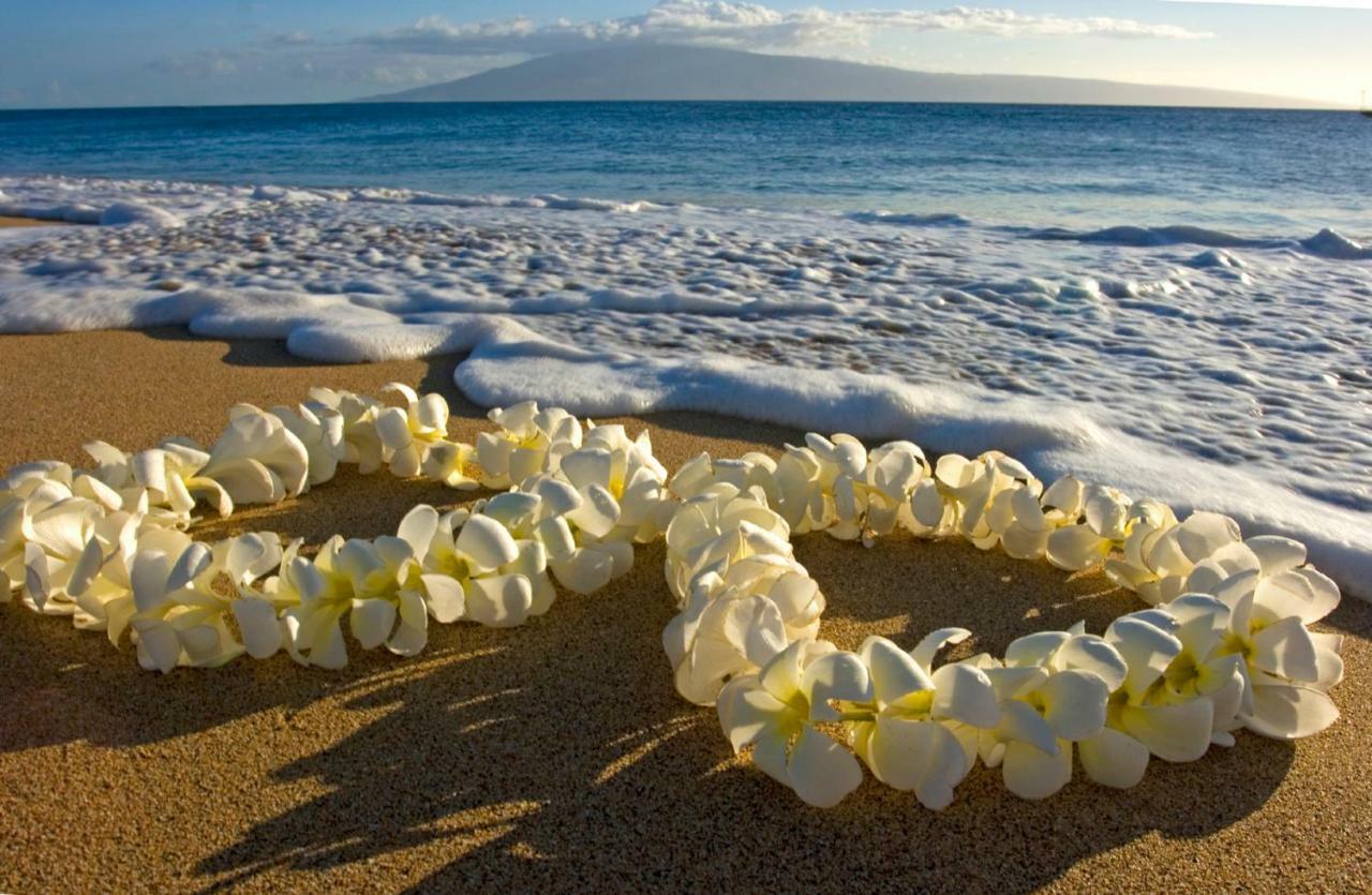 Waikiki Escapade Mountain Views Condo, Steps To Beach With Parking Perk Honolulu Exteriör bild